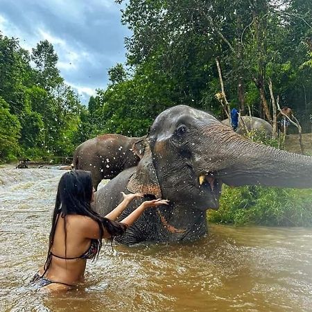 Wild Park Safari Home Stay Udawalawe Exterior foto