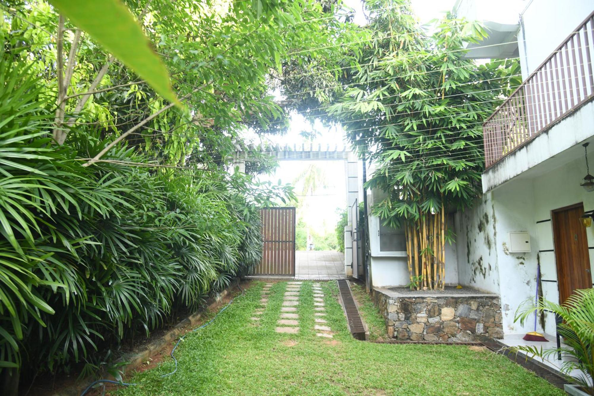 Wild Park Safari Home Stay Udawalawe Exterior foto